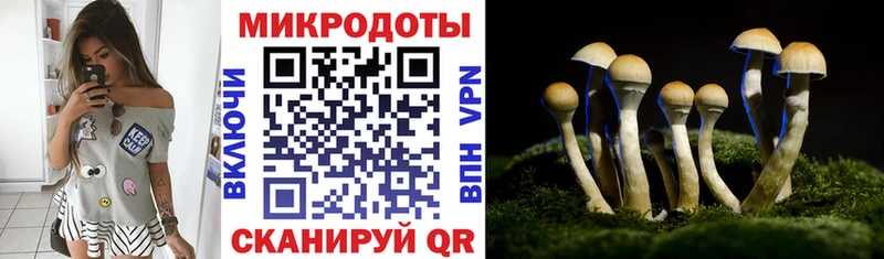 Псилоцибиновые грибы мицелий  даркнет сайт  Корсаков 